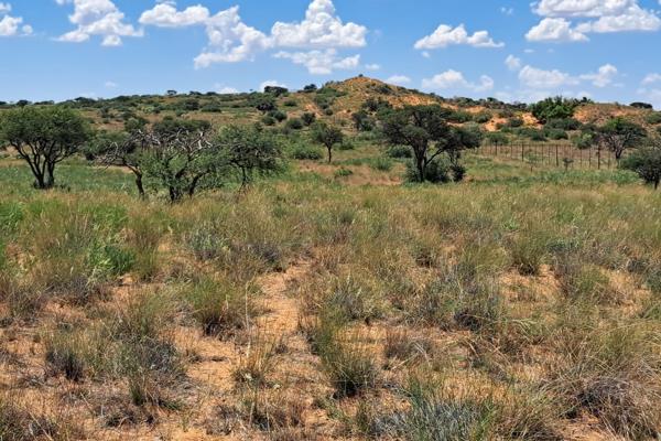 Best Kalahari East, Cattle and Sheep farm.
Includes, 600 ha game camp with 7 species.
Farm is well planned with 11 x 4 camp system ...