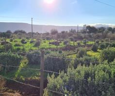 Vacant Land / Plot for sale in Calvinia