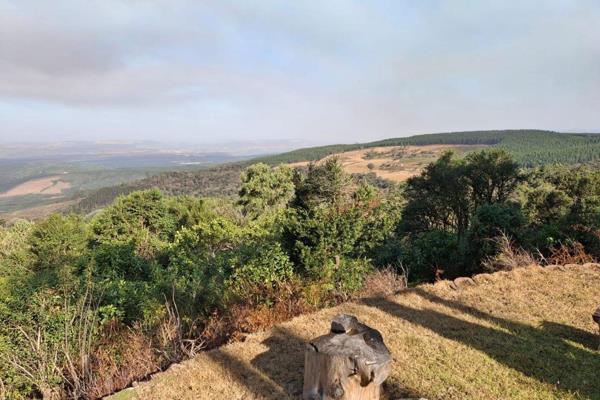 Discover a unique thatched home in Mbona Private Nature Reserve, just 30 minutes drive from Howick, where every detail invites you to ...