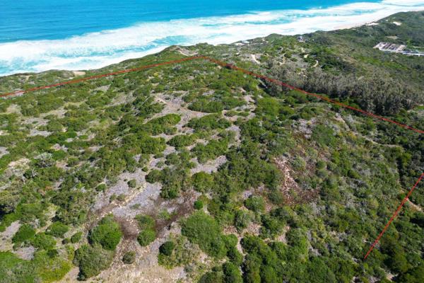 Discover a unique opportunity to own an 8.49-hectare coastal farm, perfectly positioned just 10km from Wilderness and 12km from ...