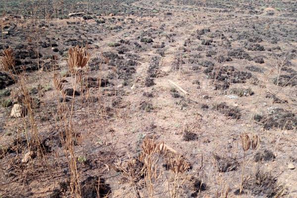 One hectare vacant stand with good soil.
Building packages are available if needed.
A building package has the advantage of reducing ...