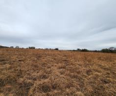 Vacant Land / Plot for sale in Zwavelpoort AH