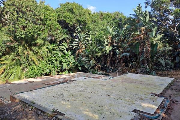 **Discover Your Slice of Paradise: Vacant Land for Sale in Bazley Beach, Elysium**

Imagine waking up each morning to the soothing ...