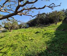 Vacant Land / Plot for sale in Ivy Beach