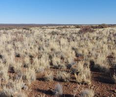 Farm for sale in Carnarvon Rural