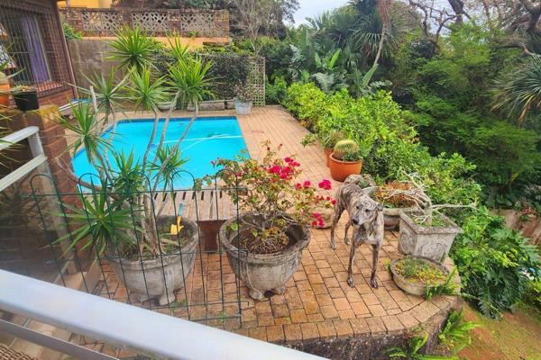 &quot;Anerley, a tranquil coastal village on KwaZulu-Natal&#39;s south coast, offers the perfect blend of relaxation and convenience. ...