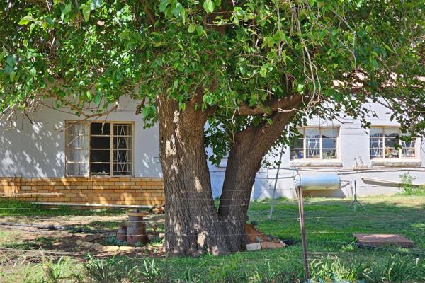 This Mix Farm of 160 Hectares outside Klerksdorp on the Wolmaransstad road consists of:- 
* 100 Hectares Natural Grass / Previously ...