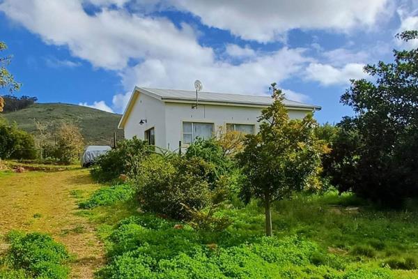 Enjoy the country leave the city apartment behind!! Hike on the mountain walk through ...