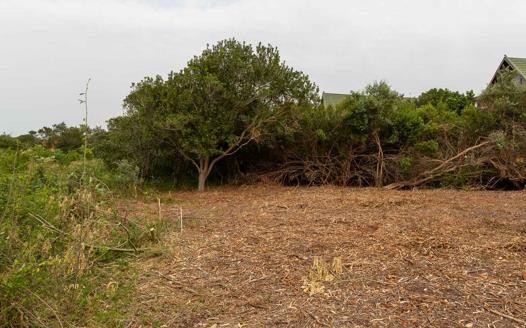 Vacant Land / Plot for sale in Outeniqua Strand