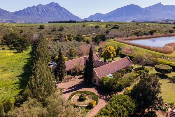 Welcome to a truly idyllic lifestyle farm nestled against the breathtaking Winterhoek and Saronsberg mountains. This 9-unit guest farm ...