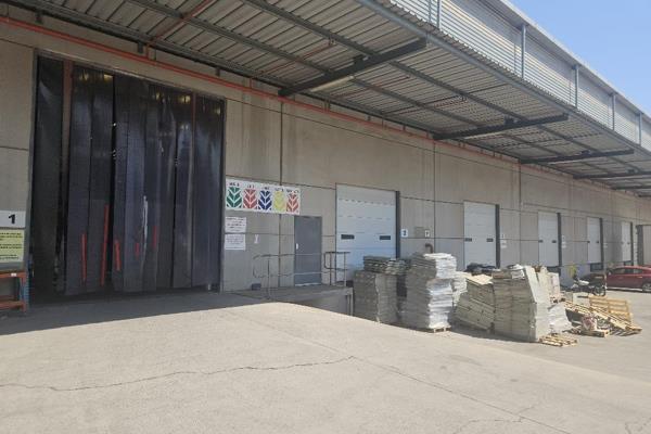 &#39;Net Lease&#39;

Racked Warehouse To Let in Pomona, Kempton Park, within a secure ...