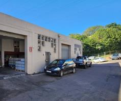 Industrial Property for sale in Mountain Ridge