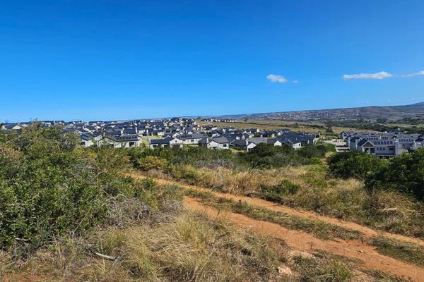 Exclusive Opportunity: Buy Directly from the Developer at Hartland Lifestyle ...