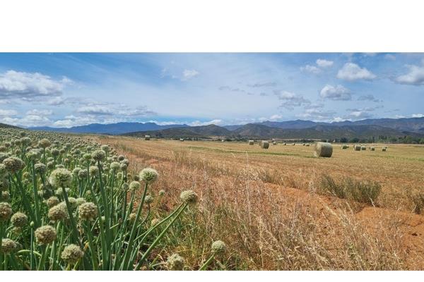 Discover Your Dream Farm in the Iconic Town of De Rust
Nestled in the picturesque and iconic town of De Rust in the Western Cape, this ...