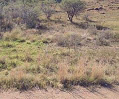 Vacant Land / Plot for sale in Willemsdal