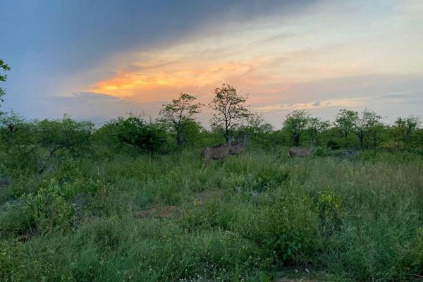 For those seeking a truly immersive African experience, this exceptional piece of vacant land in South Africa offers the perfect ...