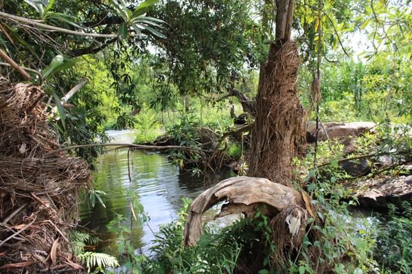 SOLE &amp; EXCLUSIVE MANDATE - Discover your own slice of heaven nestled alongside the serene Great Letaba River. Embrace the beauty of ...