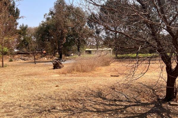 Bargain buy in Mantevrede. Charming 1-Hectare Plot with Borehole and Pecan Nut Trees – Perfect for Your Dream Home!

Discover this ...