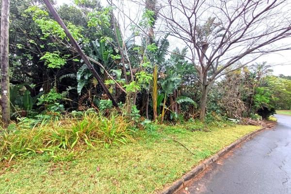 This larger than usual piece of land is well located in a sought after, very safe area, and only a short drive from the beach and all ...