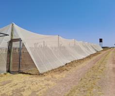 Farm for sale in Wildebeestfontein AH