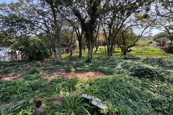 This well-located 1,974 m&#178; vacant land is situated in the vibrant heart of Manaba ...