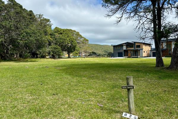 Sanctuary on Brenton on Lake Estate

Nestled among ancient Milkwood trees, this Estate ...