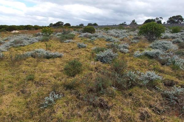 An investment opportunity in the N2 Industrial Park, Kwanonqaba, Mossel Bay. 
Land size 2756 square meter vacant stand.
Potential for ...