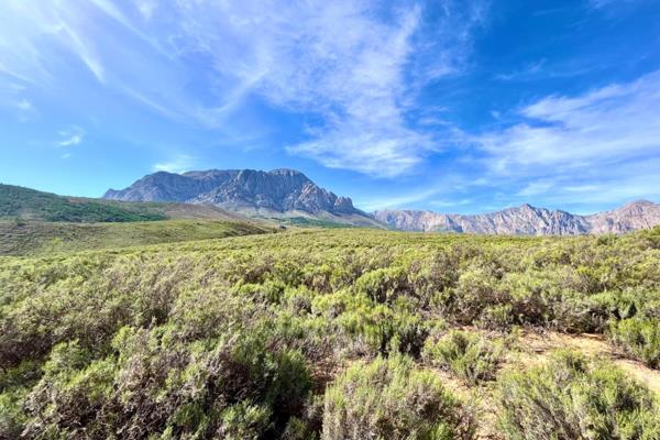 Stunning Vacant Plot in De Vierde Liefde Private Nature Reserve

Nestled on the ...