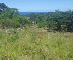 Vacant Land / Plot for sale in Ivy Beach