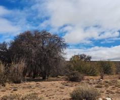 Farm for sale in Calvinia Rural