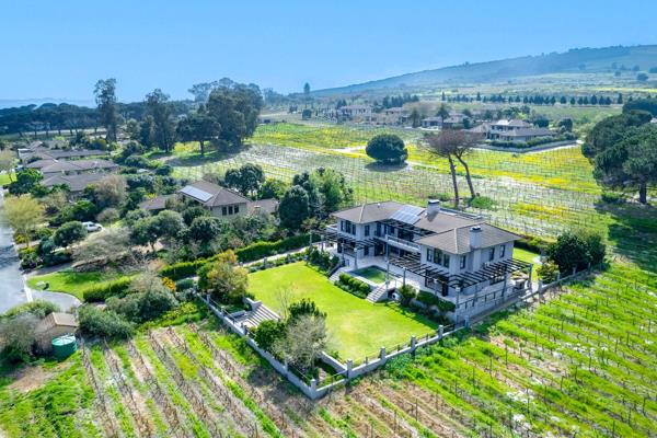 Situated in the most prestigious wine and equestrian estate in the northern suburbs of Cape Town.

This mansion is fitted with loads of ...