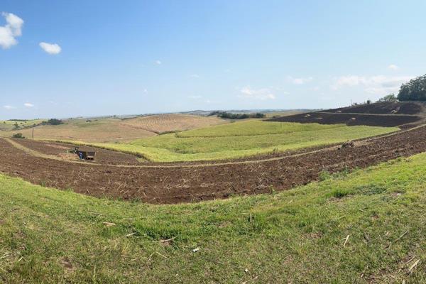 Calling All INVESTORS! 

Unlock the potential of 136+ hectares of prime farmland, just outside Ballito! Whether you’re dreaming of a ...