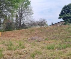 Vacant Land / Plot for sale in Haenertsburg