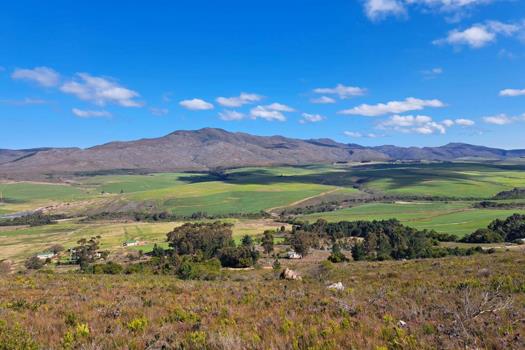 Farm for sale in Hermanus Rural