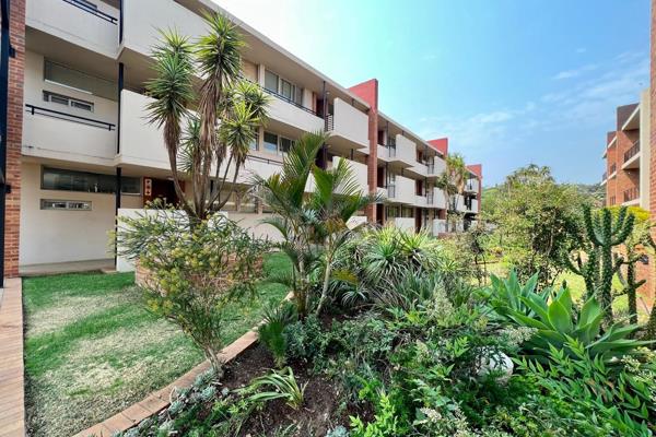 - High ceilings throughout the whole unit.
- Open kitchen/lounge area.
- Modern kitchen with granite countertops, ample ...