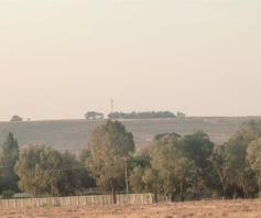 Farm for sale in Elandsfontein