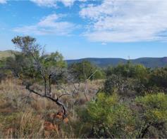 Vacant Land / Plot for sale in Zwartkloof Private Game Reserve