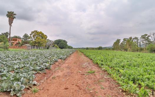 Farm for sale in Kameeldrift West