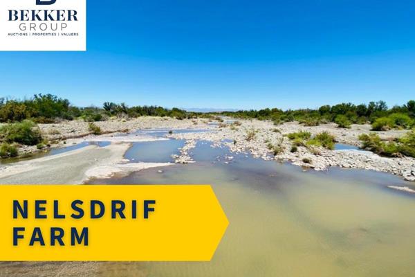 KOUP KAROO FARM WITH PERMANENT IRRIGATION AND 7KM GAMKA RIVER FRONTAGE

- PLEASE NOTE: THE FARMS NELSDRIF (&#177; 3500ha) &amp; ...