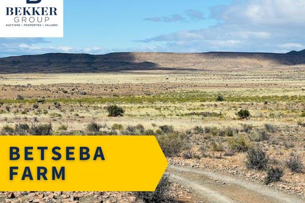 EXTENSIVE KOUP KAROO FARM ON AUCTION

- PLEASE NOTE: THE FARMS NELSDRIF (&#177; 3500ha) &amp; BETSEBA (&#177; 7400ha) WILL FIRST BE ...