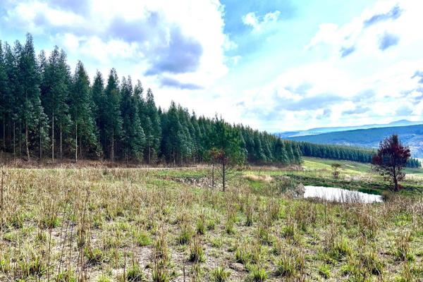 This expansive 534-hectare timber farm in Bulwer, KZN, is a remarkable investment ...