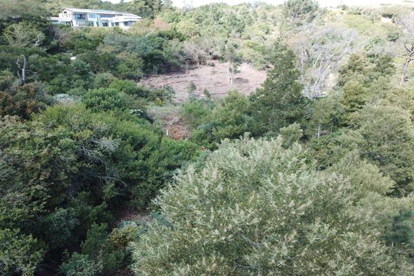 This unique piece of land has just been partially cleared so you can see and maximize its potential, being one of the few flattish ...