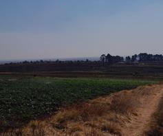 Farm for sale in Elandsfontein