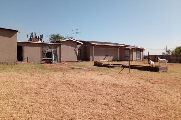 Well priced and situated, this plot is ready to be farmed on.
2 boreholes, one for drinking water and one for the garden.
The land is ...