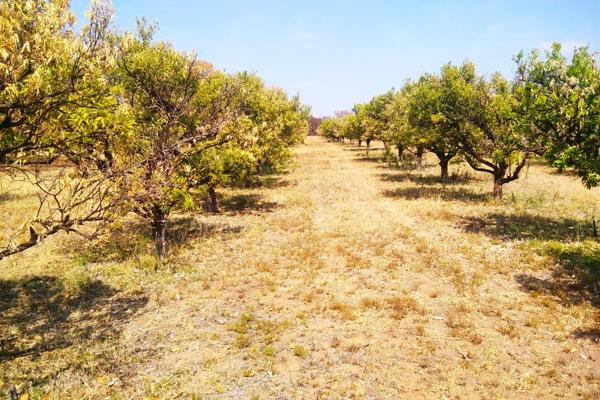 Unlock the potential of your agricultural dreams with this expansive citrus farm ...