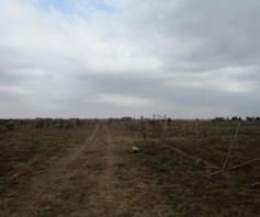 Vacant Land / Plot for sale in Kwamhlanga