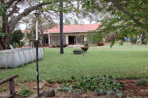 A farm is up for sale in Skoolpad Lusthof next to Hamanskraal with 3 houses on it, main house has 3 bedrooms, 2 bathrooms, lounge ...