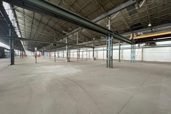 Large heavy industrial facility available for rent, offering 15,000 sqm of versatile ...