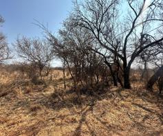 Vacant Land / Plot for sale in Dinokeng Game Reserve