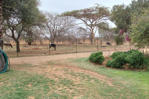 Investment!!! 2 HOUSES WITH FLAT
4 Boreholes
2 Water tanks that supply Houses with water
Variety of Sheds and Stalls

MAIN HOUSE:
3 ...